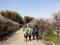 遠足1