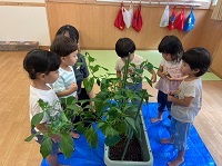食育1