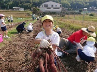 芋掘り5