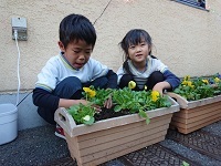 お花の苗植え２