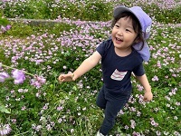 れんげ畑3