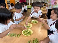 食育豆むき１