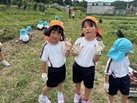 芋掘り2