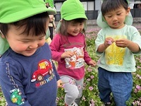 れんげ1