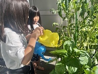 野菜の観察2