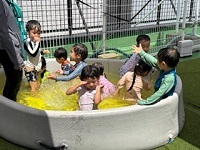 プール１