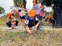 どんぐり拾い３