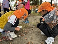 どんぐり拾い４