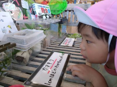 春の遠足１ 