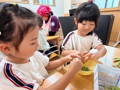 豆のさやむき１