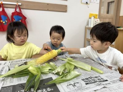とうもろこし１