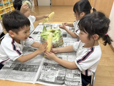 とうもろこし２ 