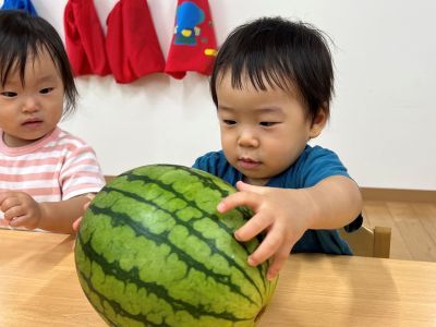 食育④